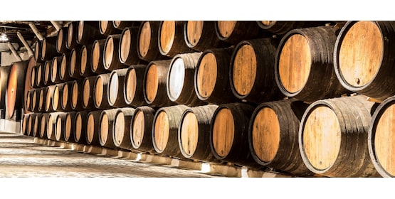 Descubre las mejores bodegas en Oporto